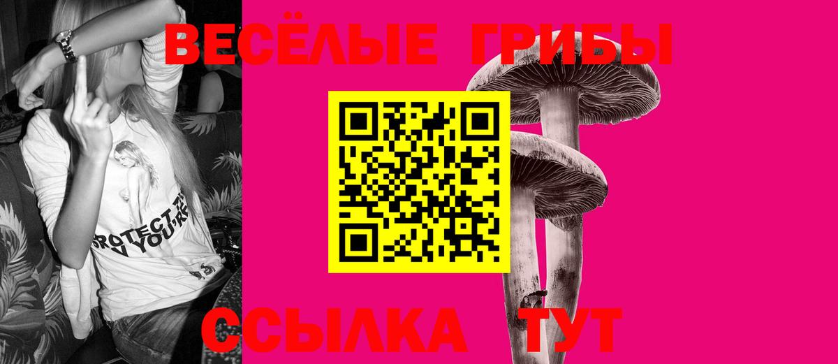 Псилоцибиновые грибы Psilocybine cubensis  Галлюциногенные грибы Psilocybe  Вход с VPN  Санкт-Петербург 