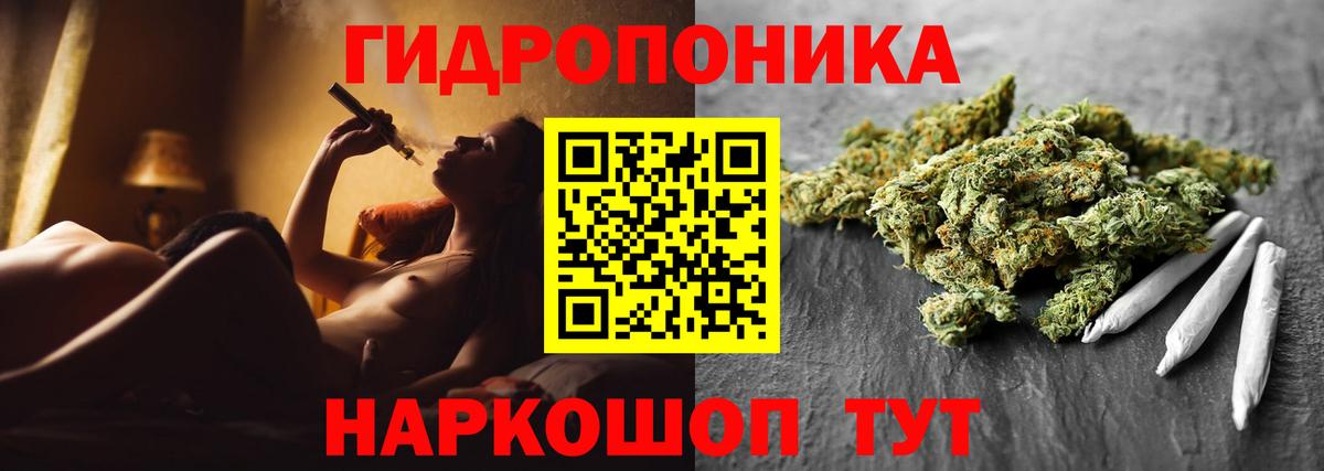 Шишки марихуана марихуана Санкт-Петербург
